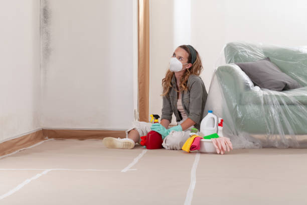 Reliable Mold Testing contractor in Cockeysville, MD by WQB Mold Removal